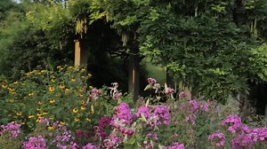 489 reactions · 41 shares | Savor an evening stroll through the Garden this summer. | Brooklyn Botanic Garden | Facebook