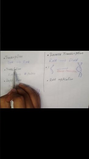 Transcription vs translation vs. replication vs. reverse transcription | biology