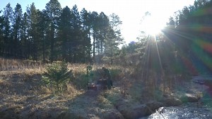 🔥A NEW SEASON OF MYSTERY MEAT IS NOW LIVE!🔥 Episode One just launched over on Youtube 👇👇👇 https://youtu.be/9JwXM-if6K4 | Breeo