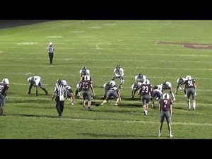 2021.02.28 Balanced Single Wing "Wildcat" Inside Zone