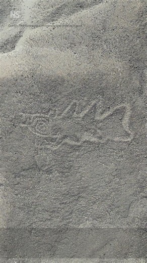 8.4K views · 74 reactions | AI discovers hundreds of ancient Nazca...