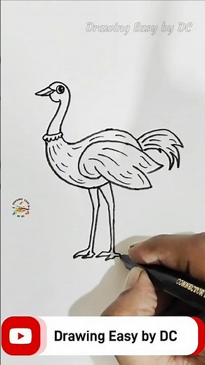 Ostrich Drawing Easy 🪶 | Step by Step #shorts