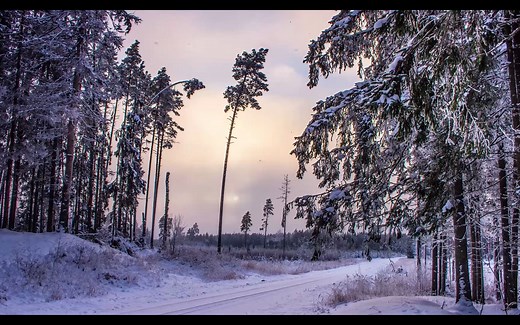 冬天的美丽景色间 隔拍摄摄 4K 60FPS