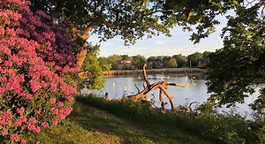 Grounds & Gardens | Beaulieu, New Forest