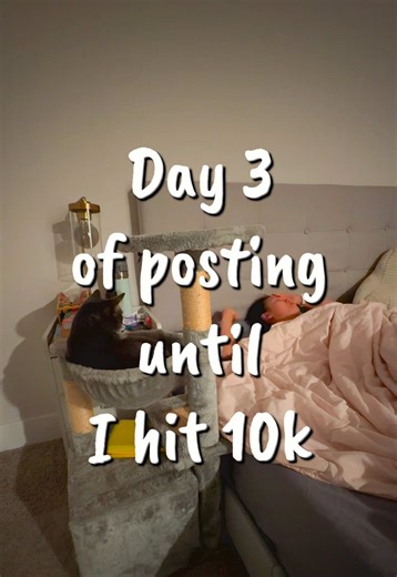 Day 3 of posting until I hit 10k ☀️ Morning routine = Peloton, YouTube workouts, and LAGREE! #morningroutine #day3 #roadto10k #pelotonlife #youtubeworkout