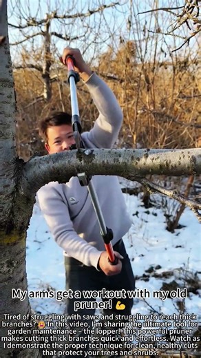 Powerful Lopper Snips Thick Branches Easily! ✂️🌳