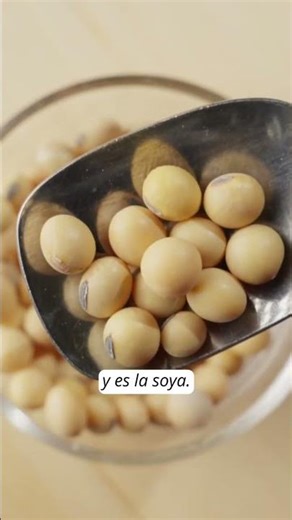 Los goitrogenos y tu tiroides.