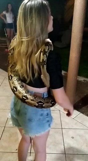 Handling a Python Snake: Captivating Outdoor Interaction