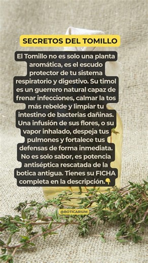 EL SECRETO DEL TOMILLO 🌿 El Antibiótico Natural de tu Despensa