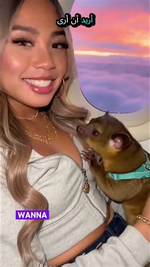 Bro is literally just vibing at 30,000 ft ✈️🌅