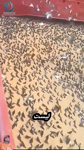 752K views · 5.7K reactions | #هل_تعلم | الآلات machines | Facebook