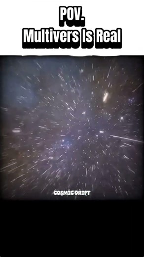 POV: The Multiverse Is Real