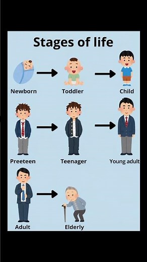 Stages of Life | Human Life Cycle Explained in Seconds 😳