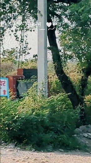 Badkhal Lake Faridabad 2025 – Timings, History & Revival Update