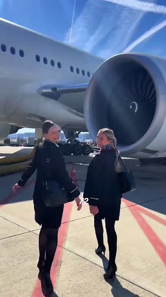 Как вам плюсы работы стюардессой?⭐️Арт. на туфли вб WW317330 #кари