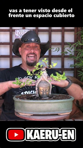 Bonsai Branch Arrangement