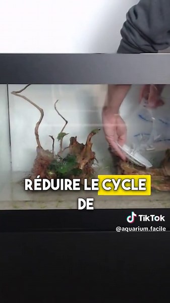 🧬 Quand rajouter des bonnes bactéries ? Après avoir installé le filtre… si vous le souhaitez. Mais patientez 1 mois, le temps que le cycle se lance naturellement. Les bactéries viennent en aide, mais ne sont pas obligatoires. Patience ou coup de pouce, vous préférez quoi ? #bactériesaquario #nitrogencycle #conseilsaquario #aquariophilie #cycleazote #aquariumdébutant #filtrationbiologique #eaudouce #bacvivant #setupaquarium