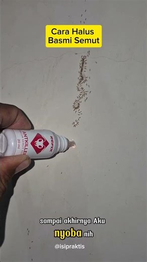 Ant poison drops refix #antpoison #antmedicine #antpoisondrops #refix