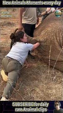 18 AMAZING Animal Clips You MUST See!