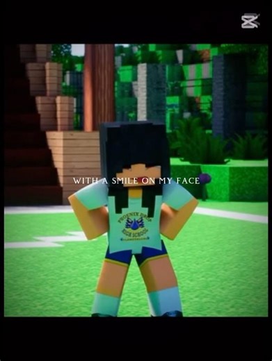 Aarmau #edit #minecraft #aphmau #shortsfeed #fypシ #fypシ #mystreet #aphmauedit #aaron #aarmau
