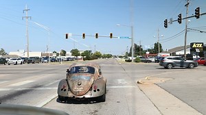 We took the Dung for a little cruise! | AZN's Dung Beetle