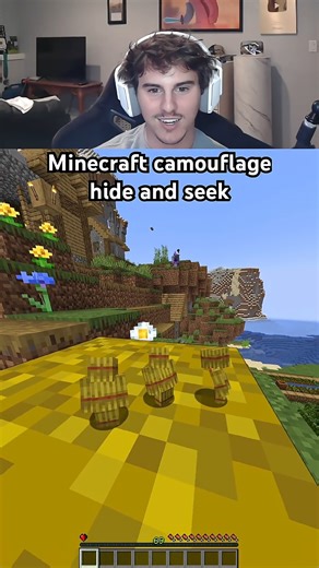 Minecraft Camouflage Hide and Seek | Daquavis Gaming