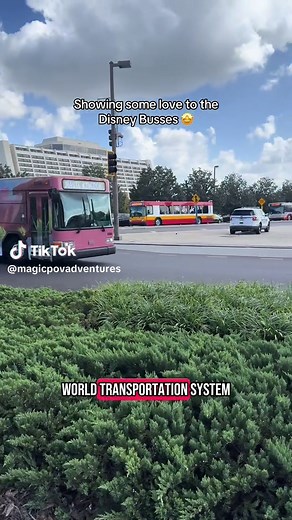 Explore the Magic of Disney Busses!