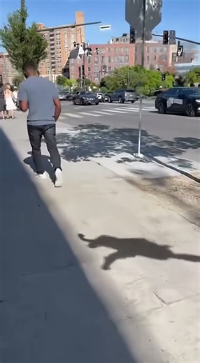 Shadow Falls Behind—Real-Life Glitch on a Sunny Sidewalk 🌞👤