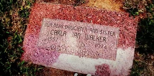 Dateline: The Box - Who was Bill Stout and what happened to him? Disturbing details of the 2010 incident, revealed