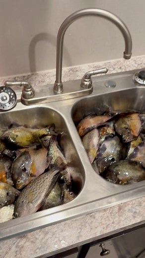 #holdyourmouthright #fishing Cut Throat Jig Company . | Malik Joyner