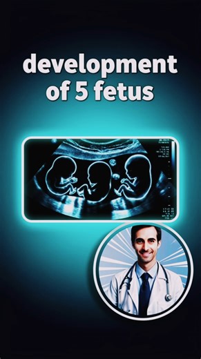 Five babies in womb sonography: What to expect