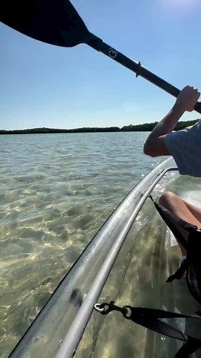 3.7K views · 52 reactions | Vacation views and ocean blues at Shell Key | Get Up And Go Kayaking | Facebook