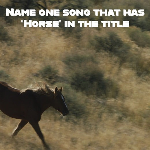 What song includes the word 'Horse'? | Horse Sense