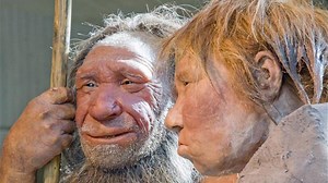 Bones reveal Neanderthal child was eaten by large bird