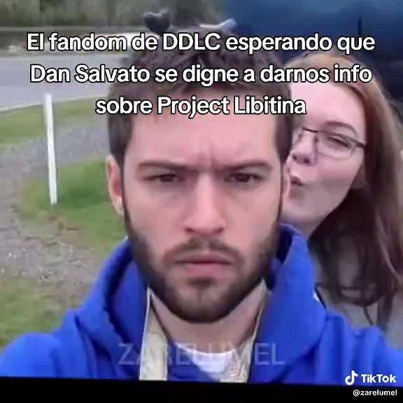 Expectativas del fandom sobre Project Libitina