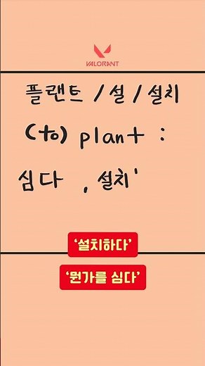 [게임하는연대생] 발로란트 영어 15 plant #발로란트 #영어공부 #연세대