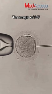 8.8K views · 41 reactions | Medaccess IVF Center on Reels | Facebook