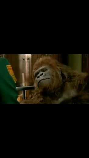 mighty boosh loves on Instagram: "Mighty"