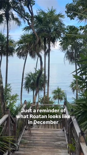 Just a reminder of what Roatan looks like in December 🌴 Crystal-clear turquoise waters, warm tropical breezes, golden sunsets, and that relaxed island vibe that makes everything slow down in the best way possible. December in Roatan means perfect beach days, incredible diving and snorkeling, fresh seafood, and unforgettable sunsets that feel straight out of a postcard. If you were waiting for a sign to visit Roatan… this is it ✨ Whether you’re planning a winter escape, a tropical getaway, or dr