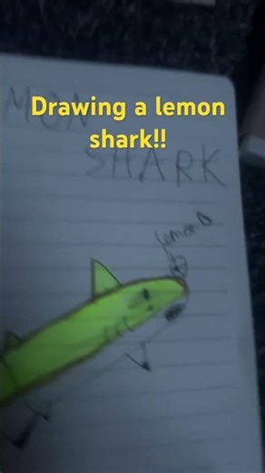 Drawing a lemon shark! (Sorry if it is bad) #subscribe #lemonshark #lemon #shark
