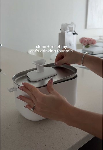How to Clean and Reset Your Cat's Drinking Fountain