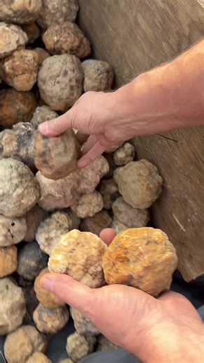 Exploring Indian Geodes: How to Crack Them Open