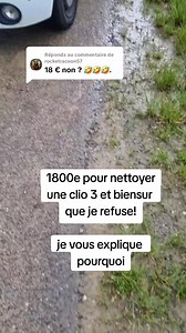 Réponse à #nettoyagevoiture #nettoyage #argent #clio | Albert Hall