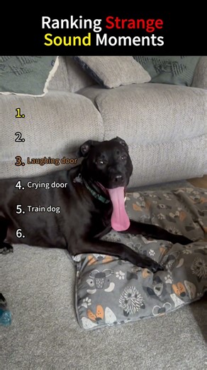 Ranking Strange Sound Moments #shorts