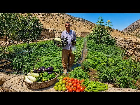 Iranian Nomadic Life: 🍆🫜Fresh Farm and Harvest of Nomadic Products🫑 | Iranian Nomadic Lifestyle 🏞