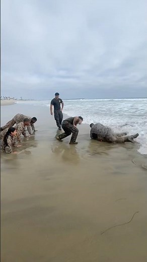 US Marine Beach Grappling #marines