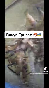 1K views · 15 reactions | Викуп креветки для наших заводчиків на...