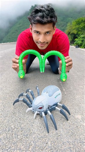 Rc Remote Control 2 Snake Vs Big Spider Unboxing🥹