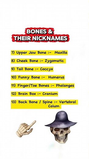 Bones & Their Nicknames You MUST Know!🩺🦴👨‍⚕️. #medico #biology #bones #nursing #education #trending