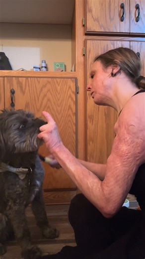 Eli the service dog wanted to share his nighttime routine with you - how he be sure he is always looking his best 💕🐕‍🦺 #elitheservicedog #servicedog | Survivor Michelle - Trauma-Informed Coach